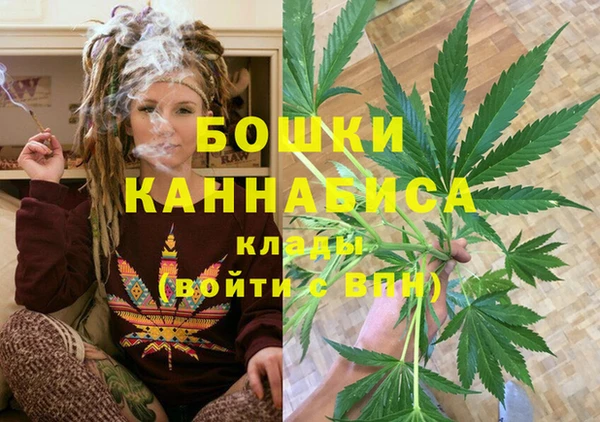 прущие крисы Бородино
