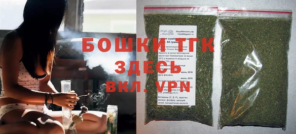 прущие крисы Бородино
