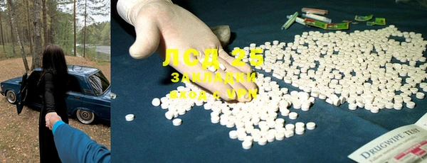 прущие крисы Бородино