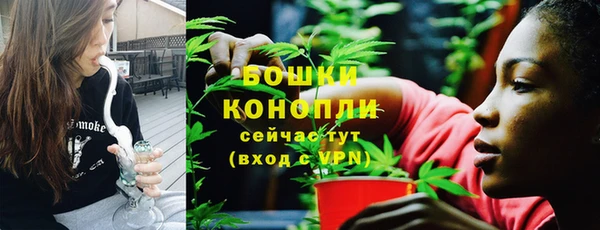 прущие крисы Бородино