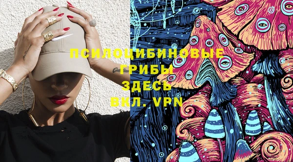 герыч Бронницы
